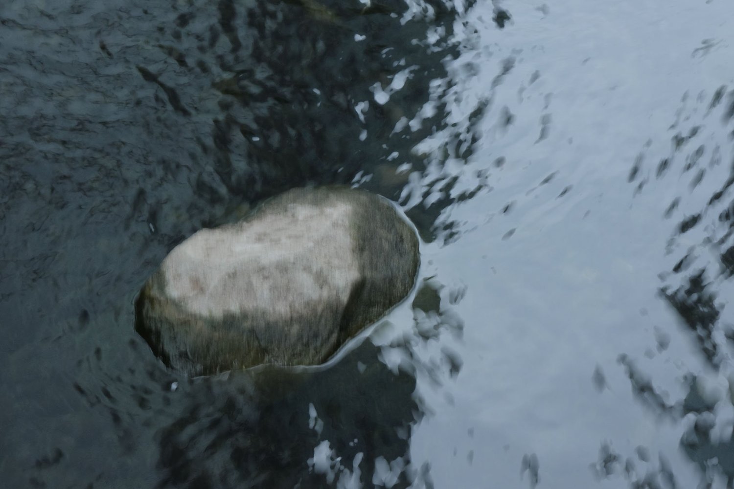 Gallery 1 - Nature-20