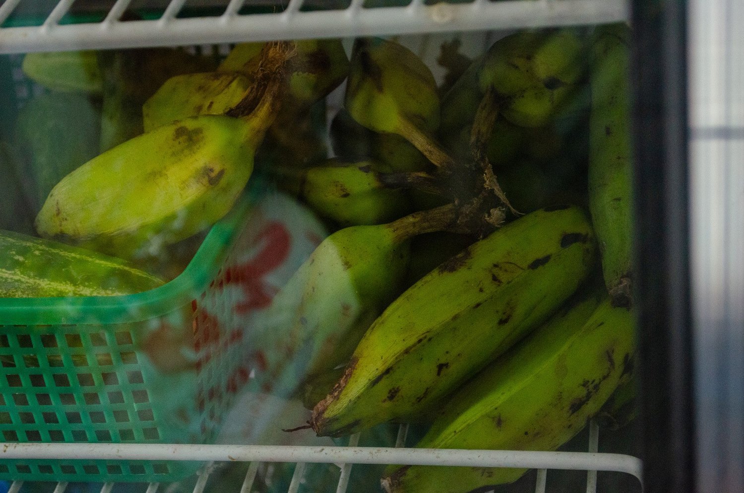 Vir’s photography — photograph 172