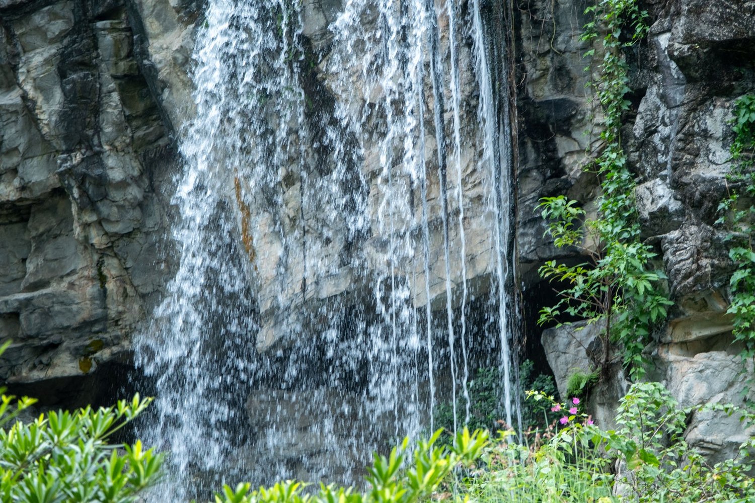 Gallery 1 - Nature-56