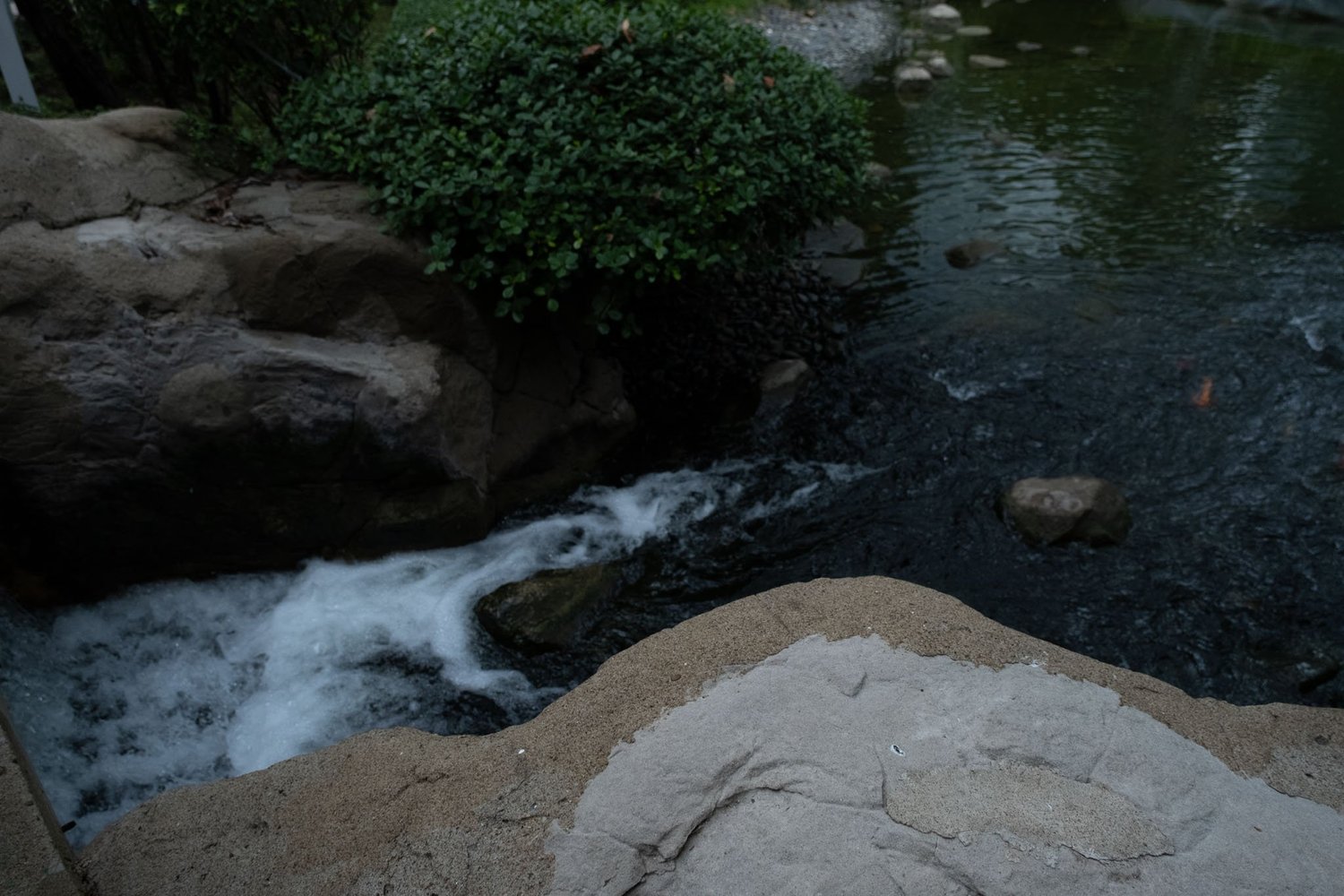 Gallery 1 - Nature-63