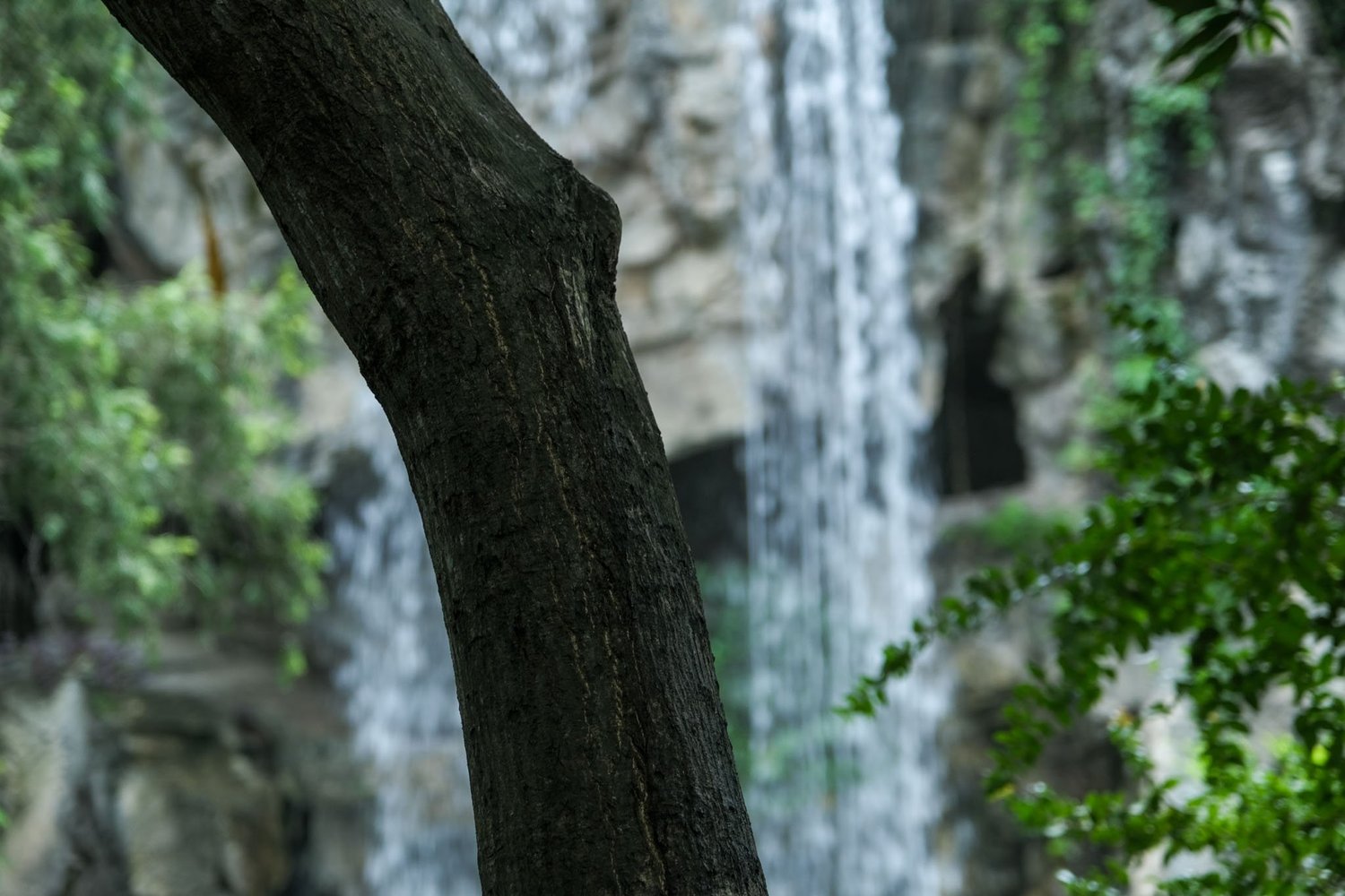 Gallery 1 - Nature-51