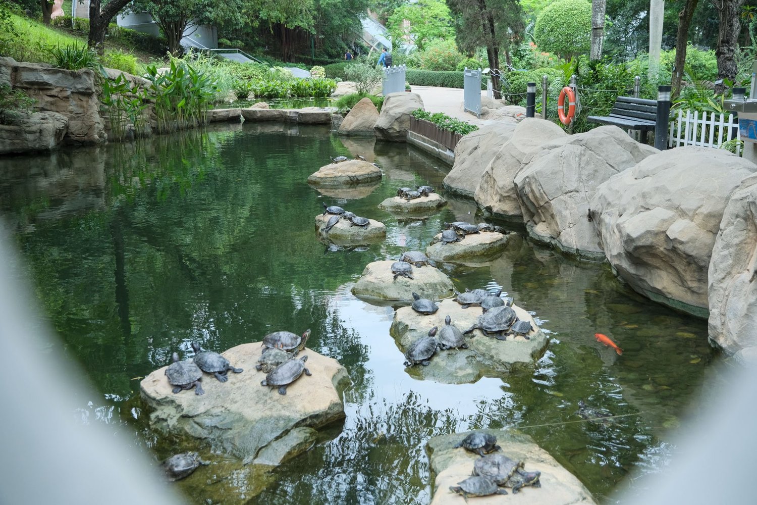 Gallery 1 - Nature-13