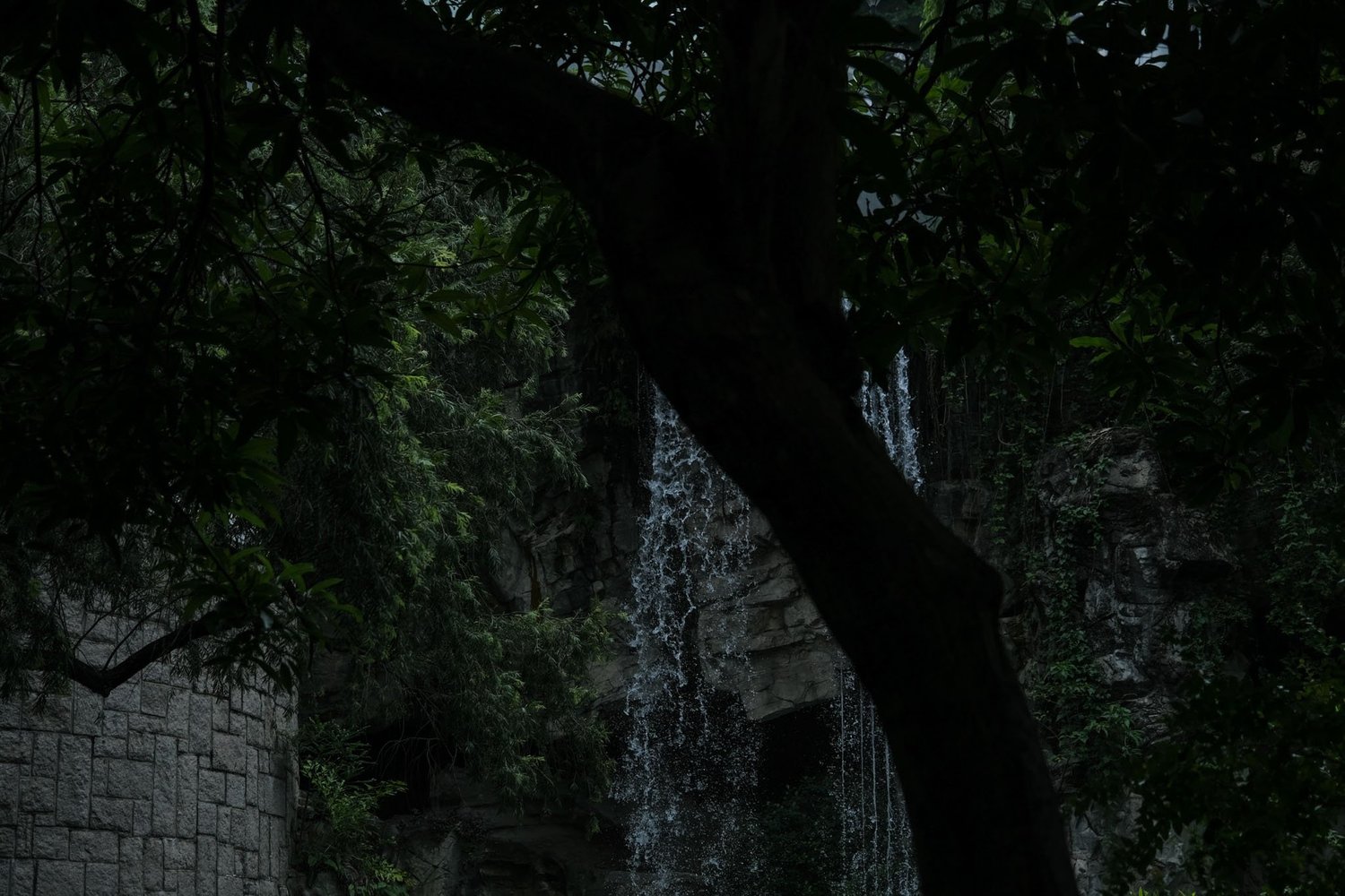 Gallery 1 - Nature-48
