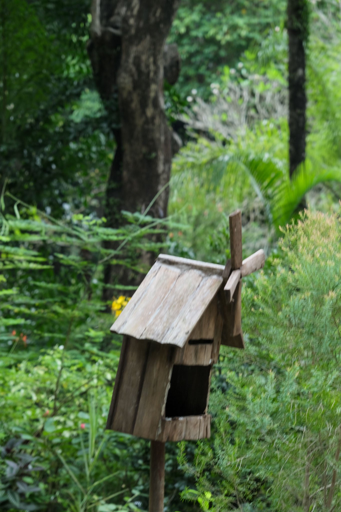 Gallery 1 - Nature-36