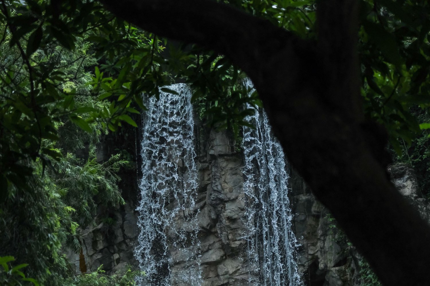 Gallery 1 - Nature-45