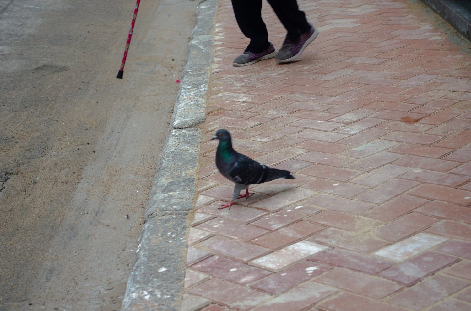 Vir’s photography — photograph 115