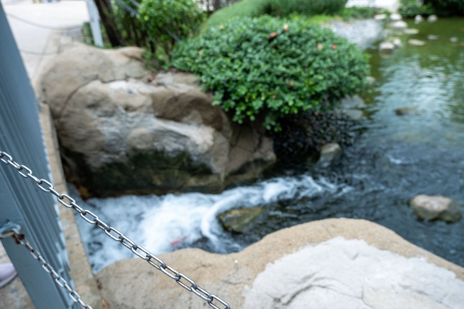 Gallery 1 - Nature-59