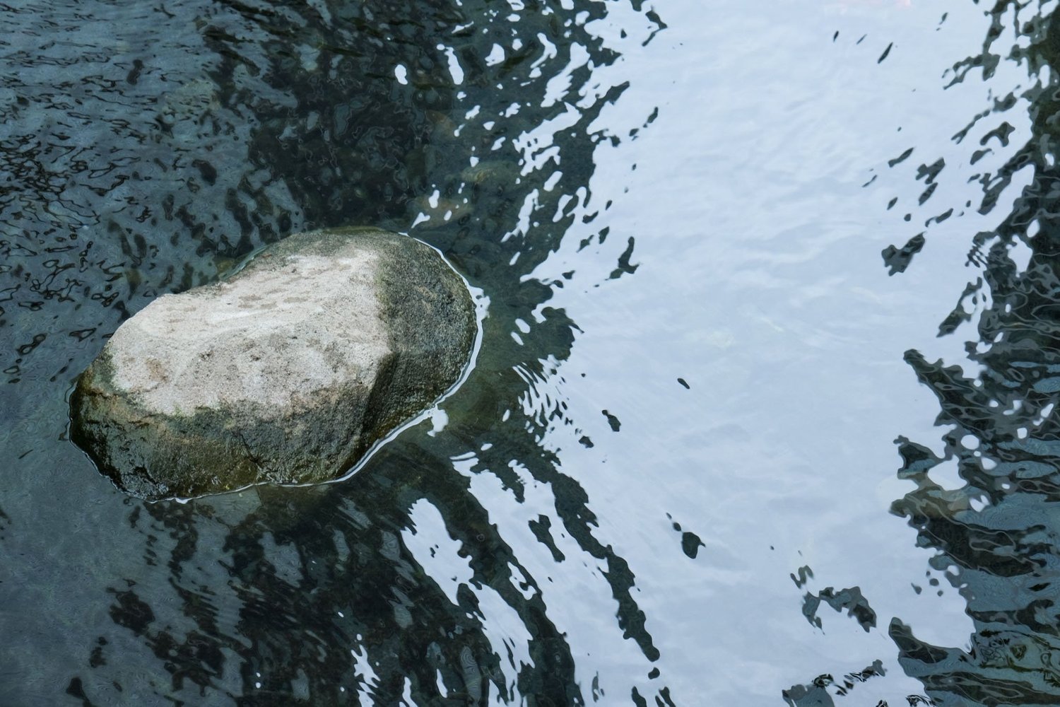 Gallery 1 - Nature-19