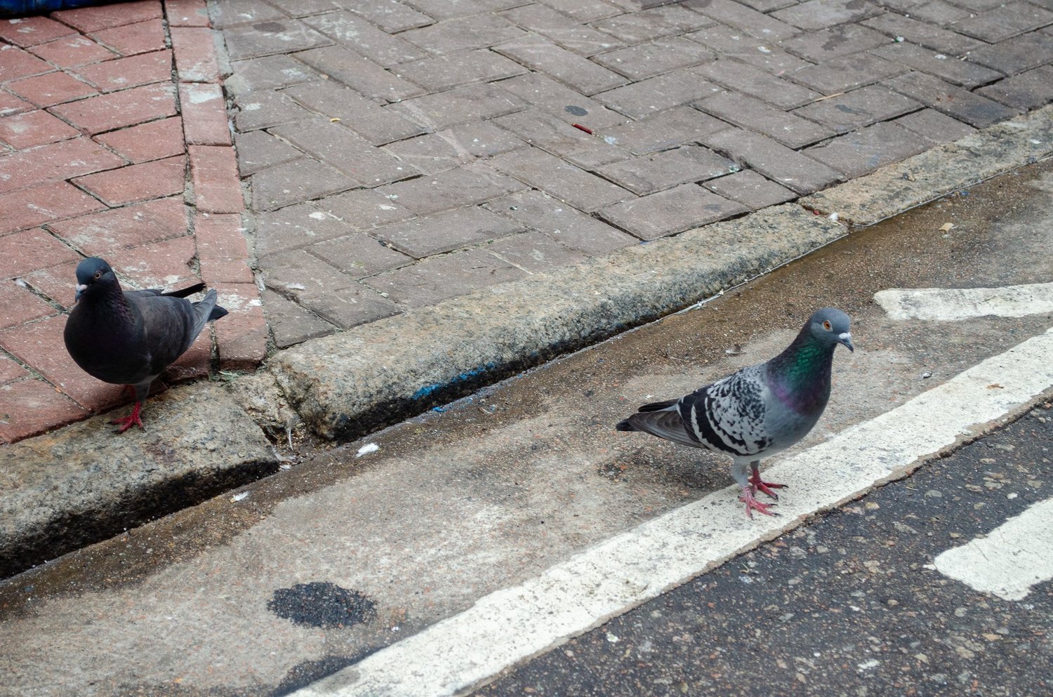 Vir’s photography — photograph 105