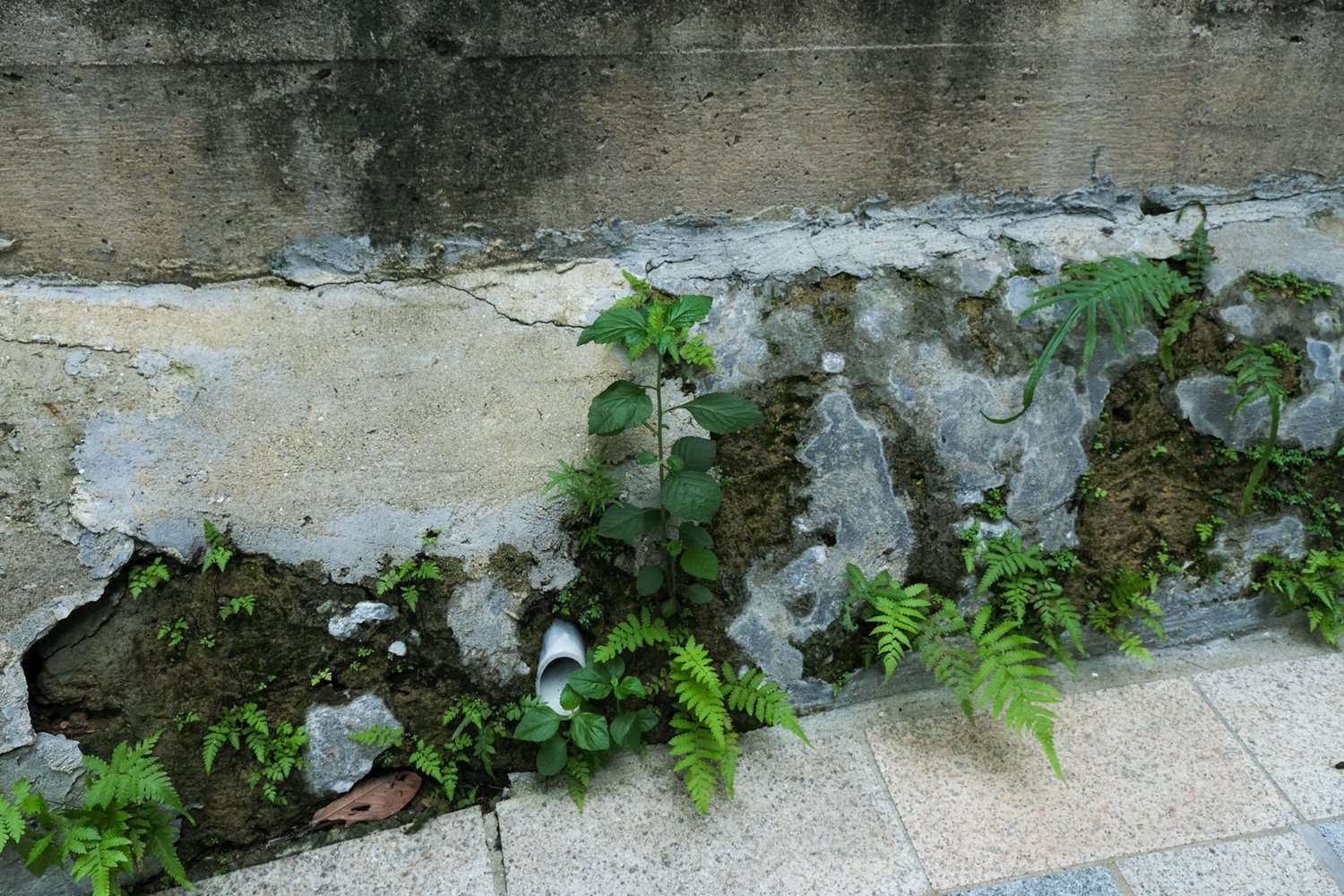 Gallery 1 - Nature-03