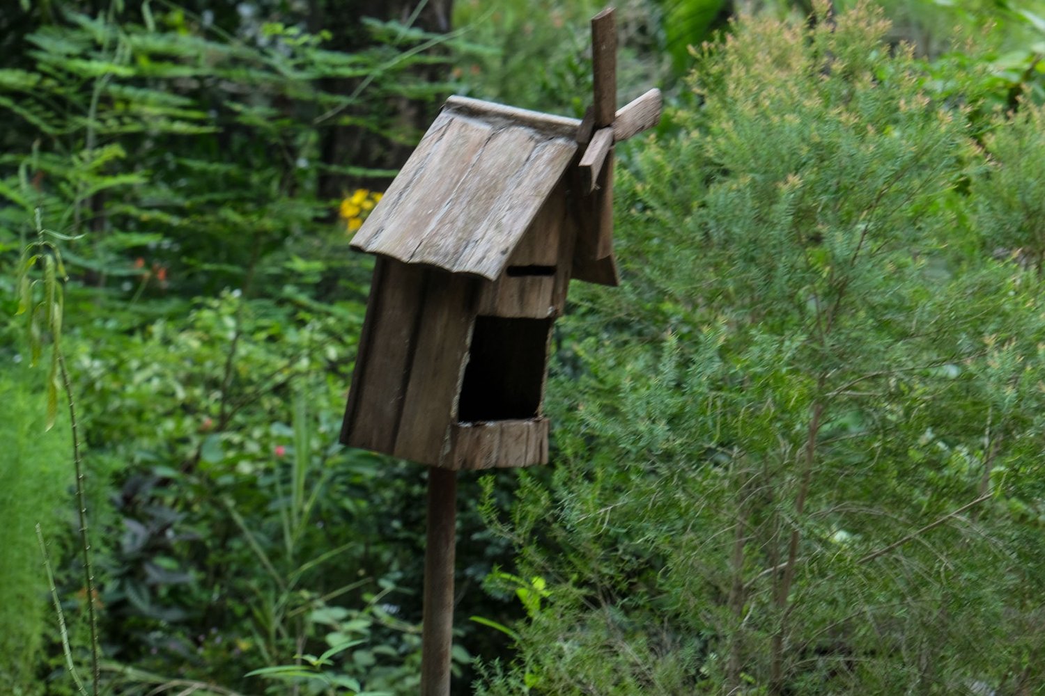 Gallery 1 - Nature-35