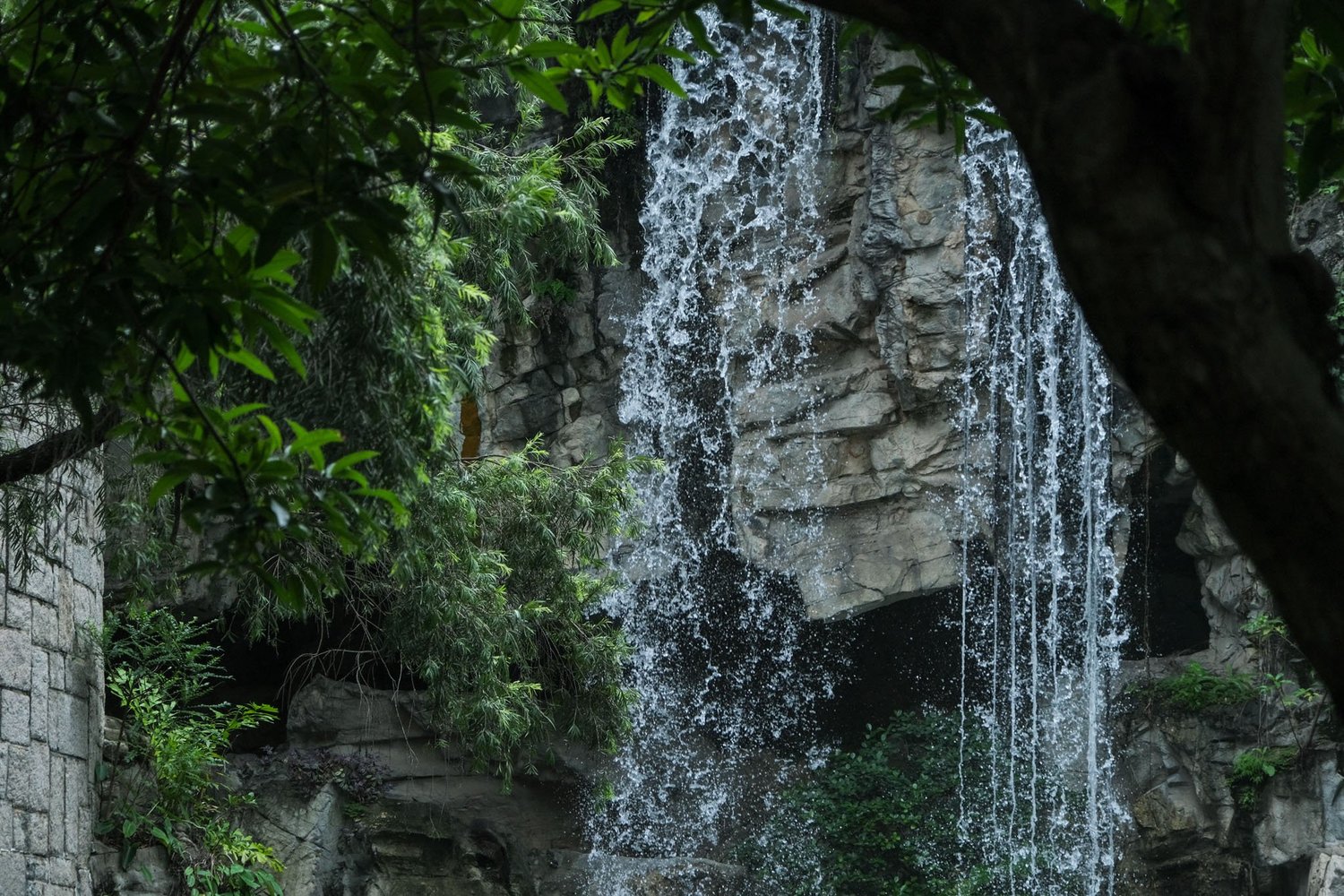 Gallery 1 - Nature-43