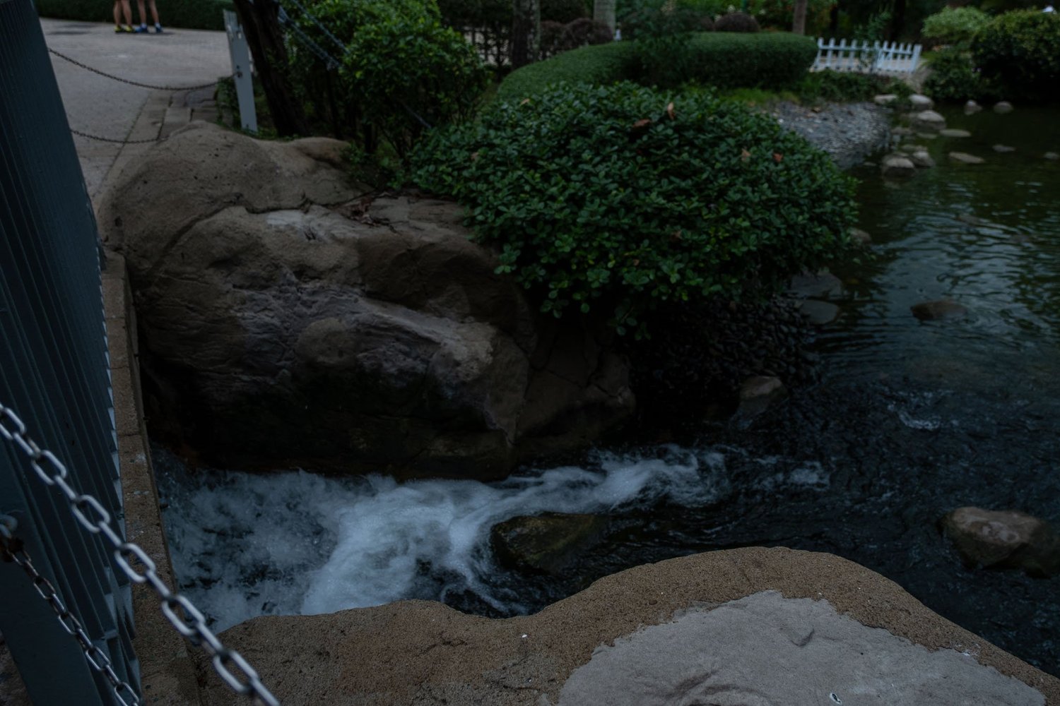 Gallery 1 - Nature-61