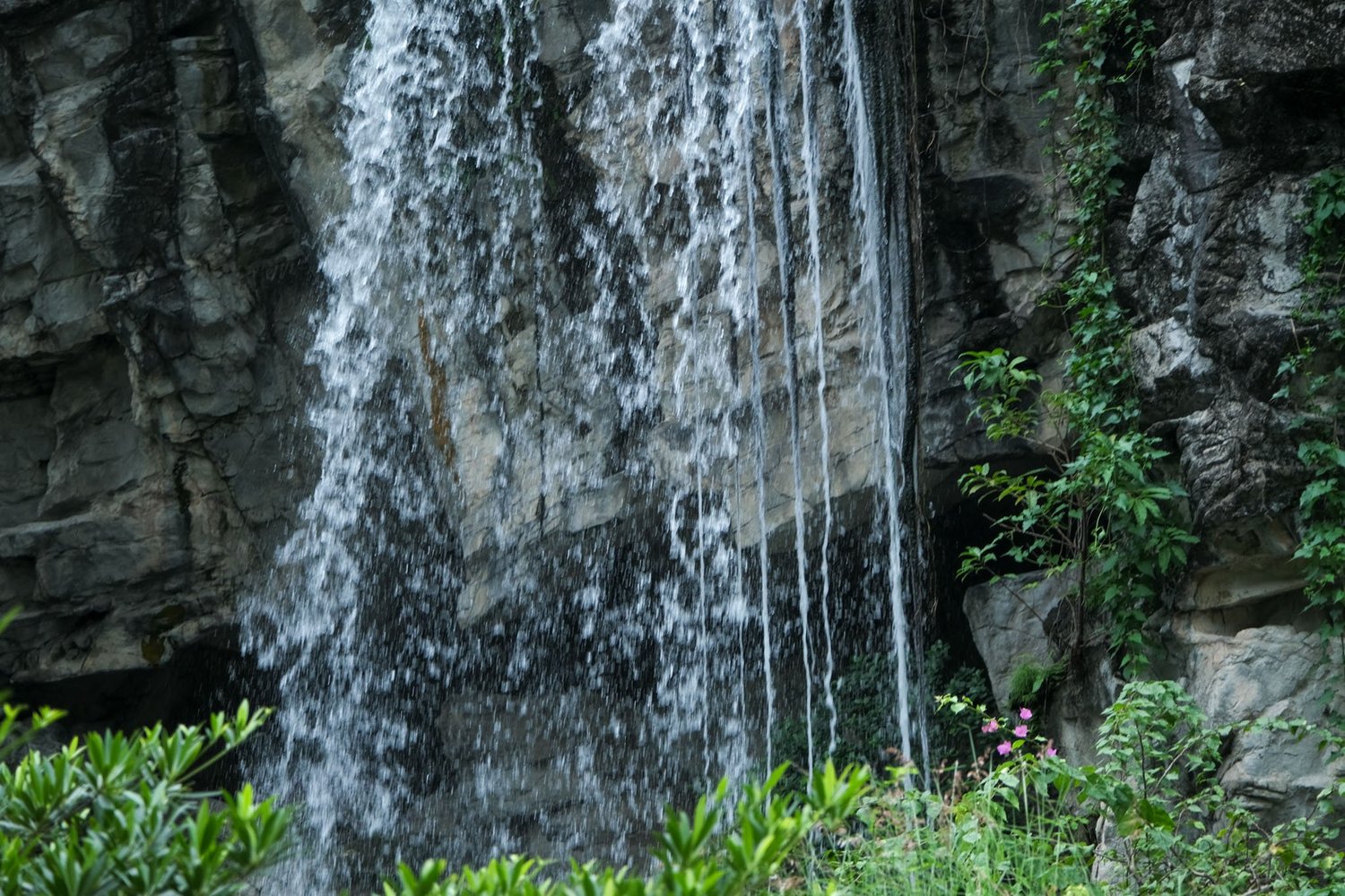 Gallery 1 - Nature-55