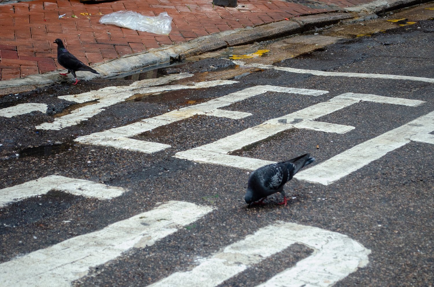 Vir’s photography — photograph 114