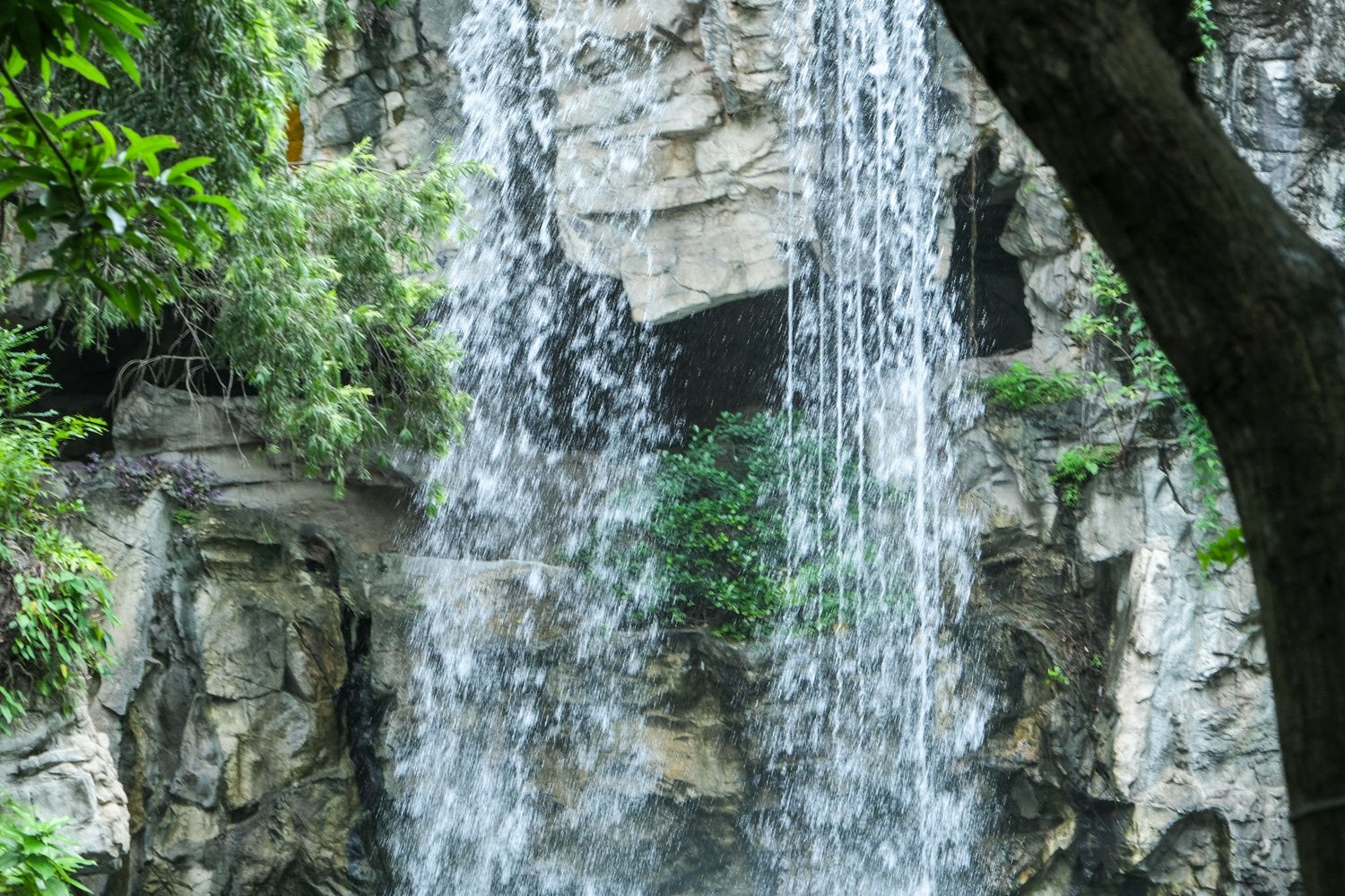 Gallery 1 - Nature-42