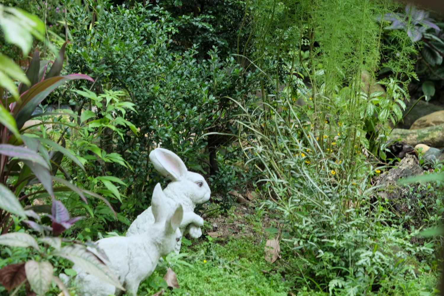 Gallery 1 - Nature-37