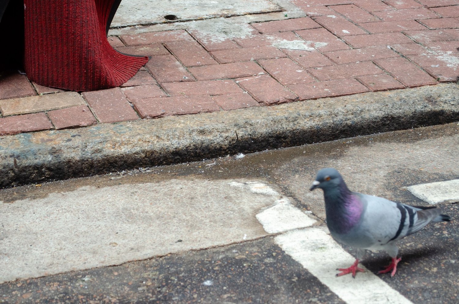 Vir’s photography — photograph 104