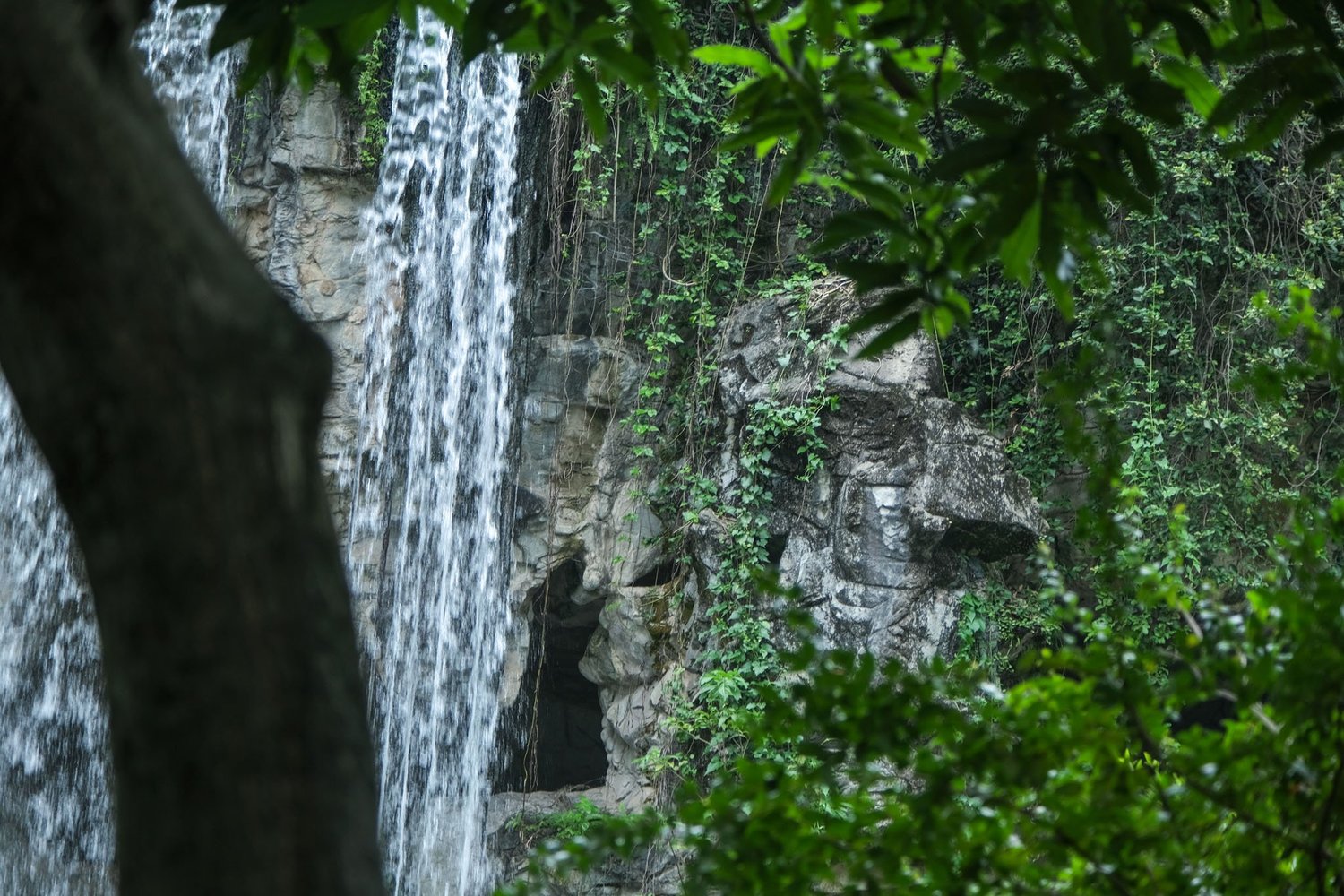 Gallery 1 - Nature-53