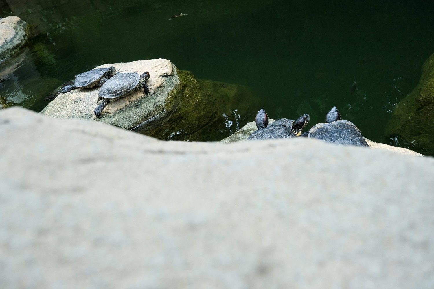 Vir’s photography — photograph 25