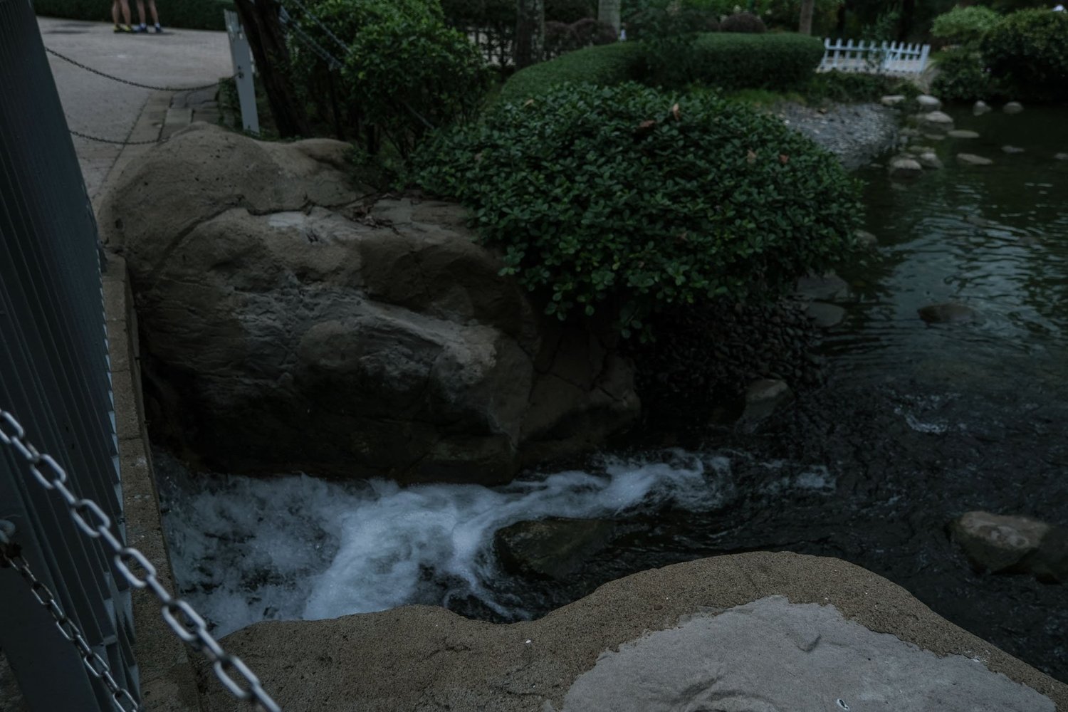 Gallery 1 - Nature-60