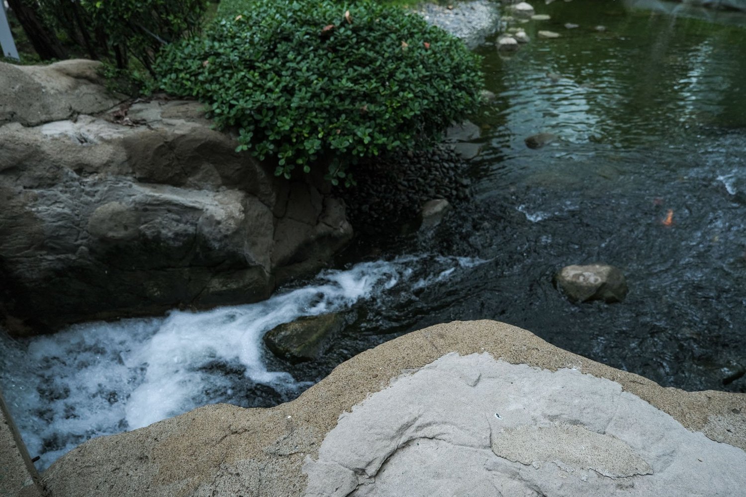 Gallery 1 - Nature-62