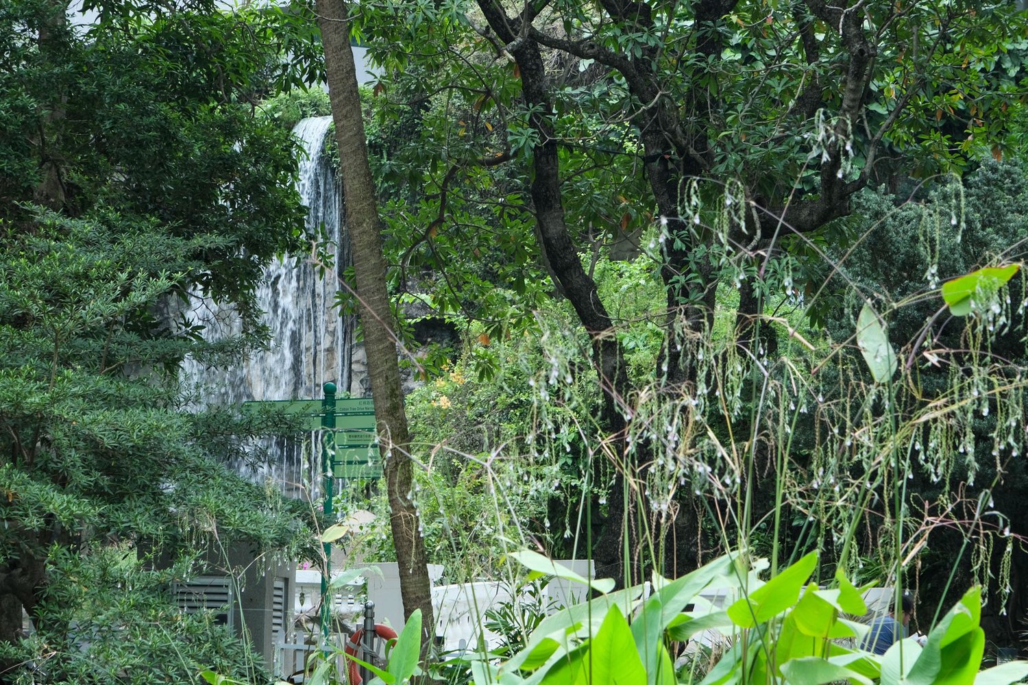Gallery 1 - Nature-29