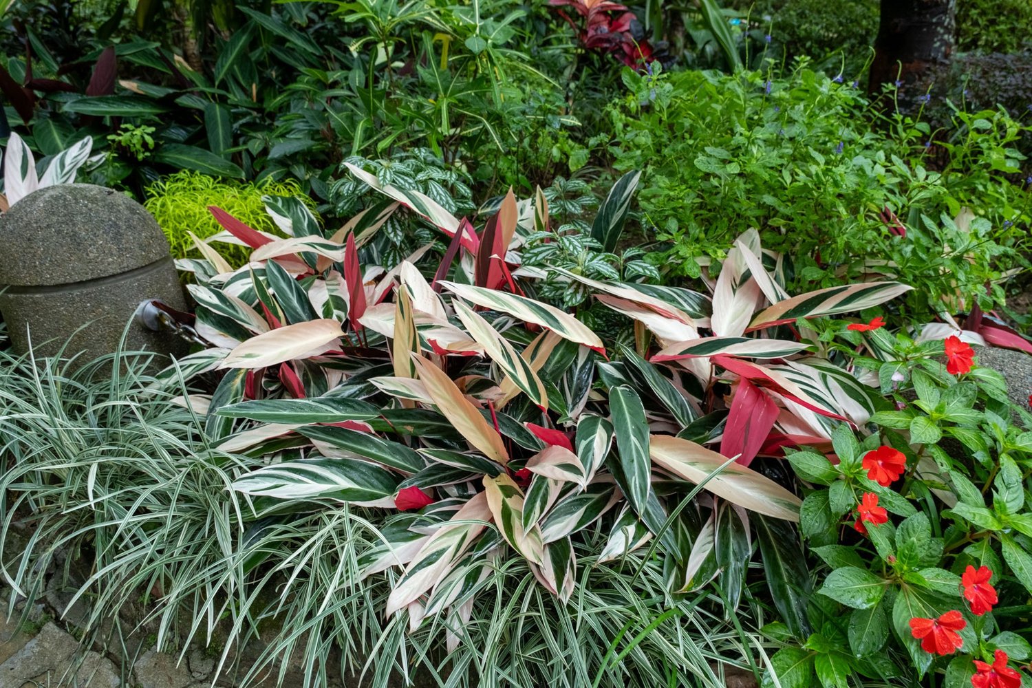 Gallery 1 - Nature-67