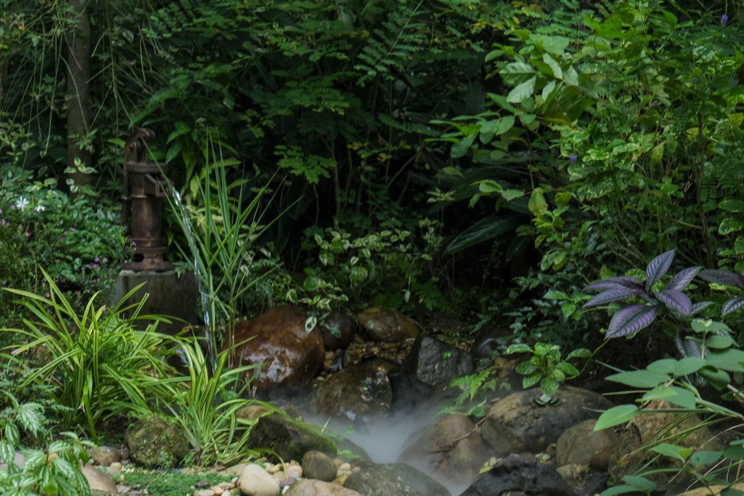 Gallery 1 - Nature-39