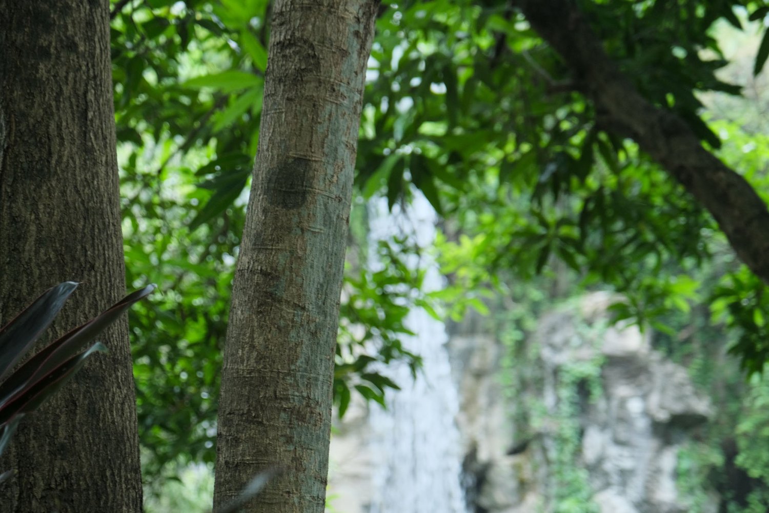 Gallery 1 - Nature-41