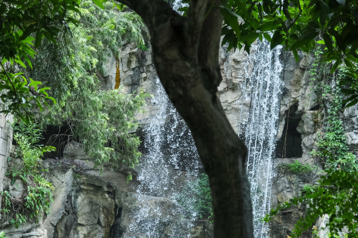 Gallery 1 - Nature-44