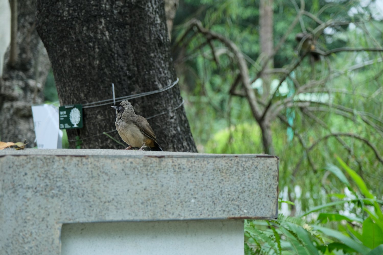 Vir’s photography — photograph 37