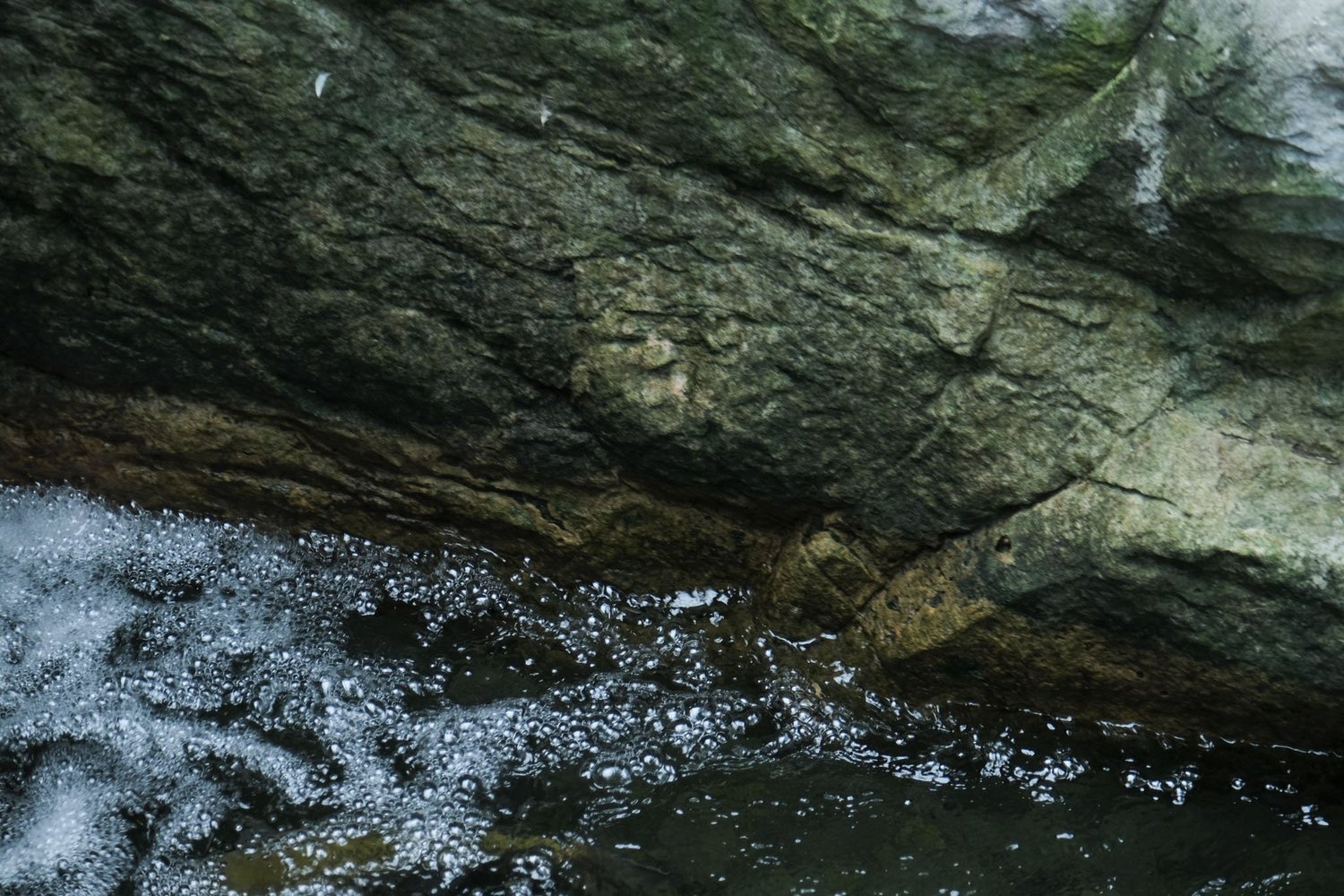 Gallery 1 - Nature-18