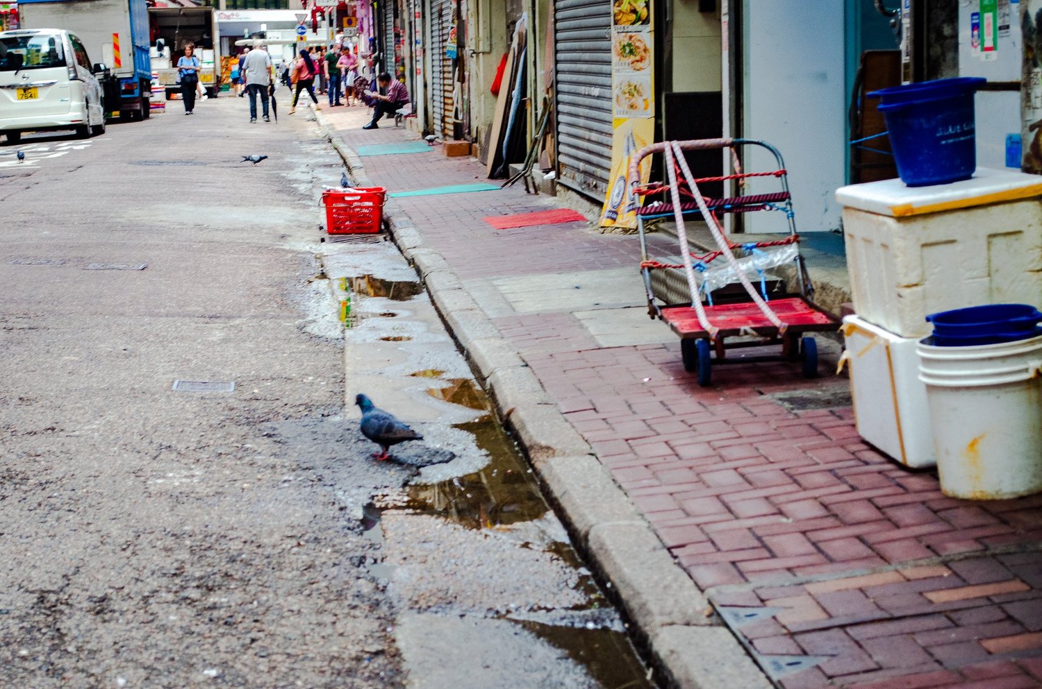 Vir’s photography — photograph 101