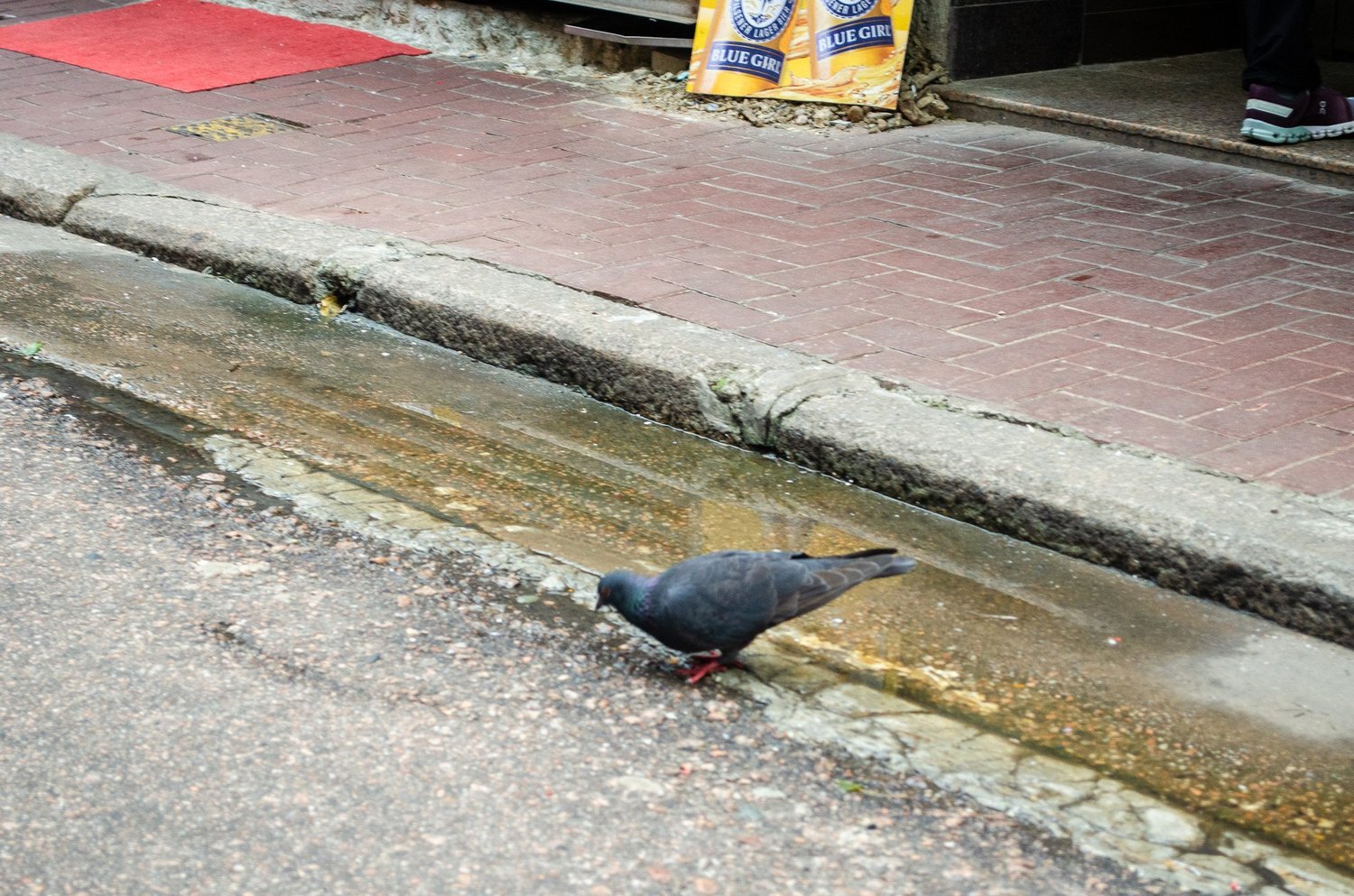Vir’s photography — photograph 102
