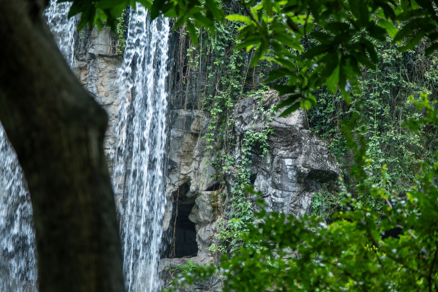 Gallery 1 - Nature-54