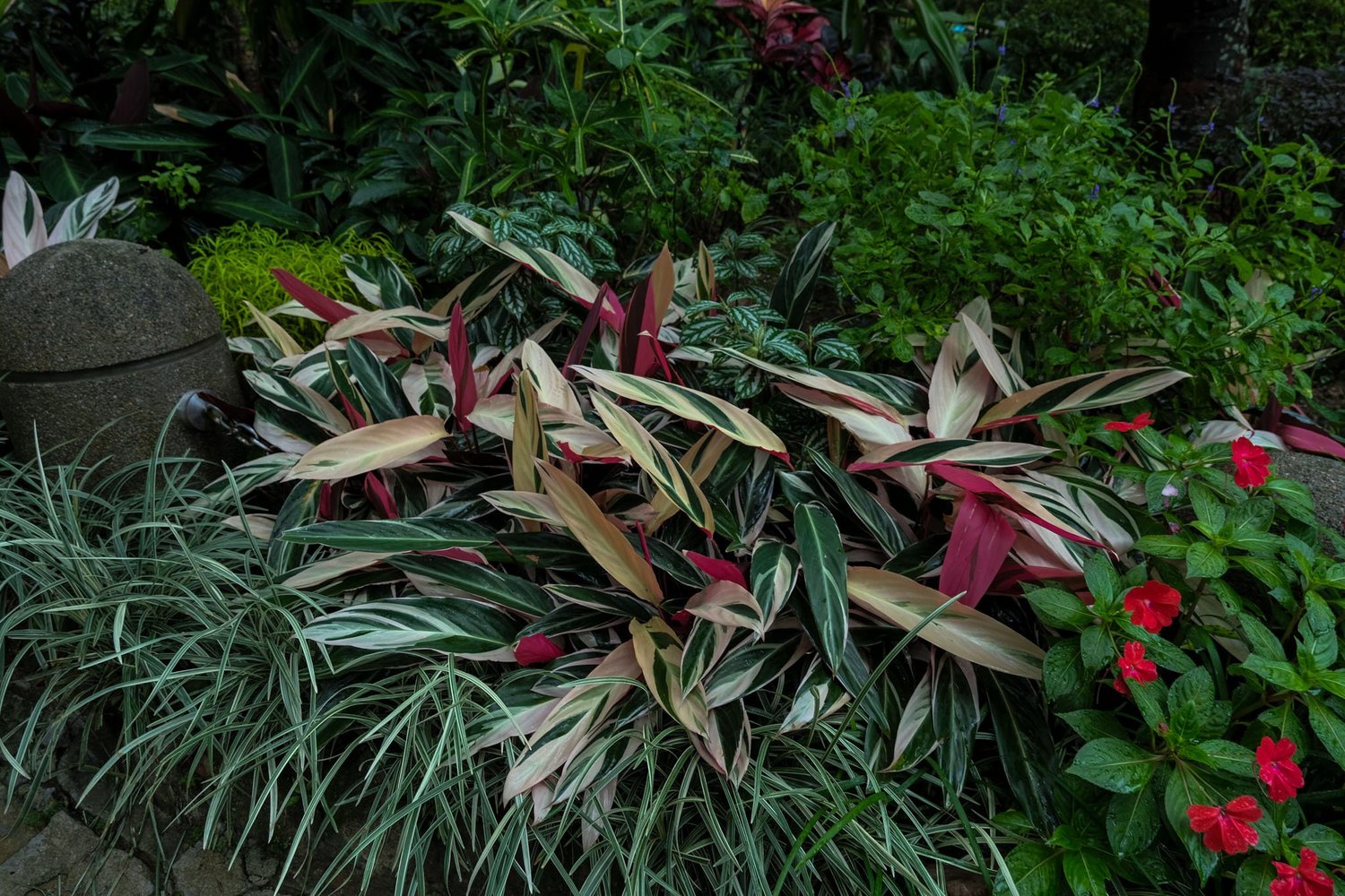 Gallery 1 - Nature-66