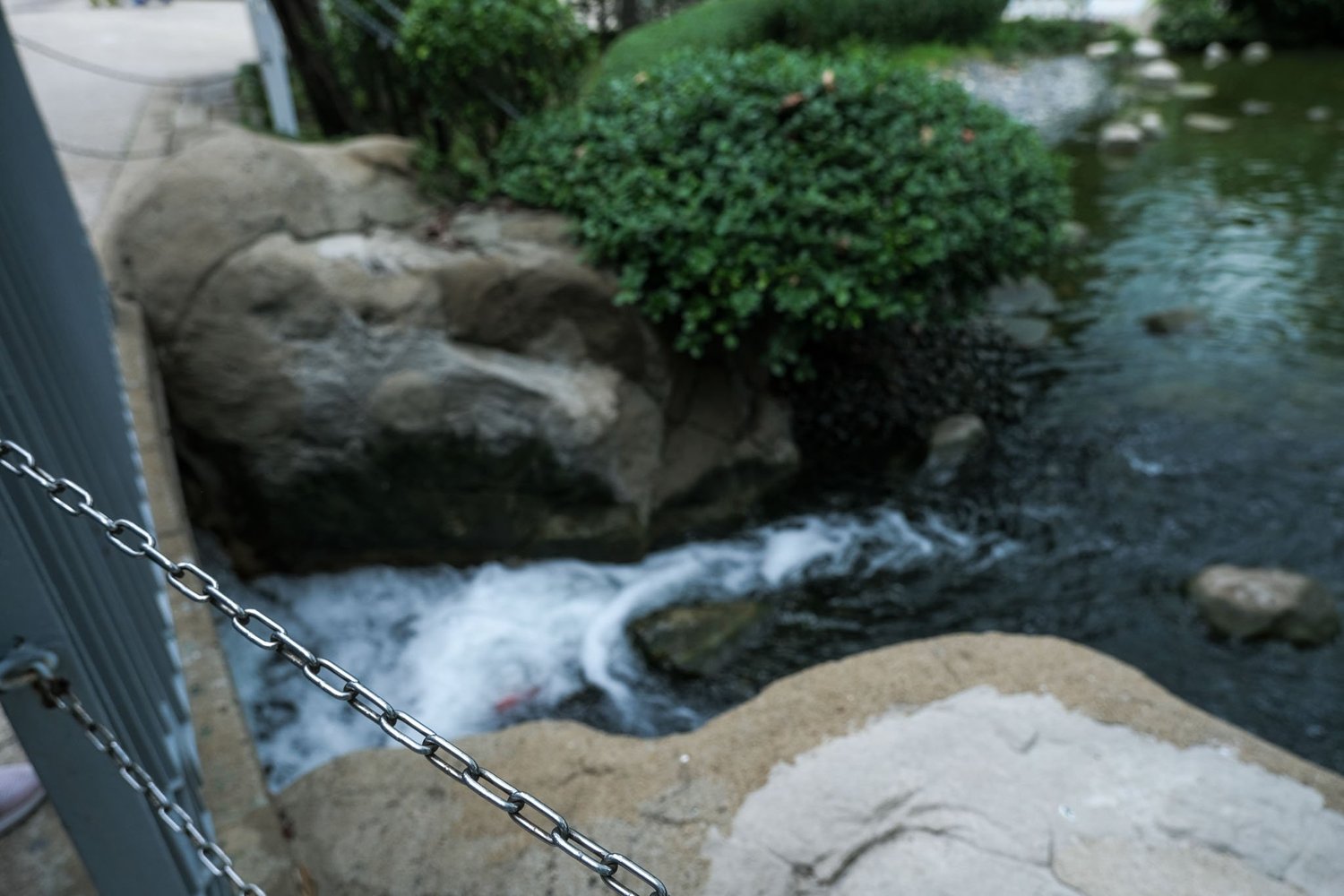 Gallery 1 - Nature-58